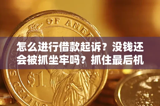北京怎么进行借款起诉？没钱还会被抓坐牢吗？抓住最后机会！