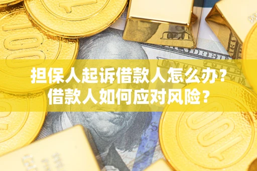 北京担保人起诉借款人怎么办？借款人如何应对风险？