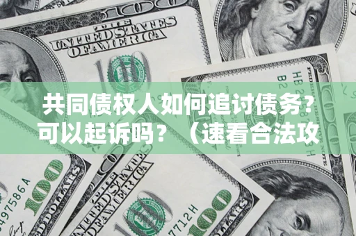 北京共同债权人如何追讨债务？可以起诉吗？（速看合法攻略）