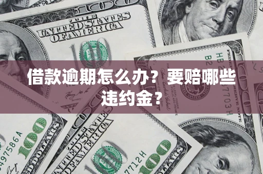 北京借款逾期怎么办？要赔哪些违约金？