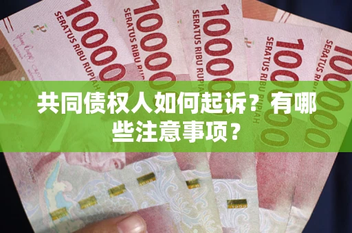 北京共同债权人如何起诉？有哪些注意事项？